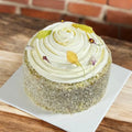 Jasmine Coconut Mango Lamington Cake