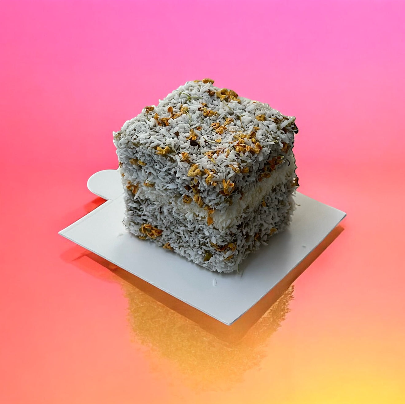 20pcs Mini lamington box